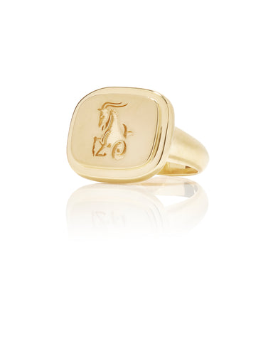 Capricorn Zodiac Ring - Bianca Pratt Jewelry