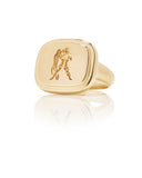 Aquarius Zodiac Ring - Bianca Pratt Jewelry